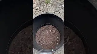Gutter vacuum systems Panther 🐈&zwj;⬛ doing its thing today!
