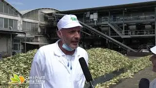 Puntata del 3/8/20 &ndash; 4&deg; parte &ndash;  Mais dolce: dal campo al barattolo
