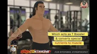 Cultivate Your Muscle Growth with Plantosterone | THEYOGAMANLAB