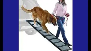 Teleskop-Rampe f&uuml;r Hunde