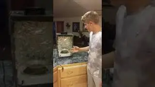Video 2