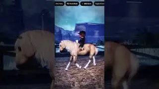Something a little new..? #lcstesting#roblox#equest#lakecountystables#horse#strideway#neegame#fypシ 