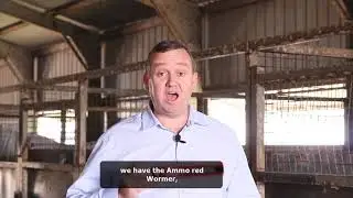 Wormers from Amacron