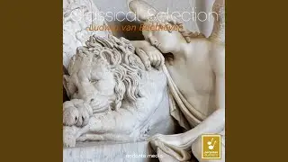 Symphony No.9, Op. 125: I. Allegro Ma Non Troppo, Un Poco Maestoso