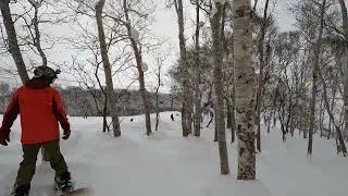 It’s deep in the trees of Niseko Grand Hirafu