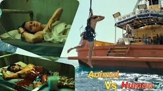 Dangerous Animal Explained in Hindi | Animal Attack Survival Thriller