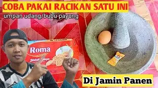 Umpan tercepat bubu payung 30 menit, langsung panen ikan udang