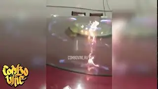 Combo Vine #2057
