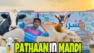 PATHAAN IN MANDI||COMEDY SKIT||Rohan 4 vlogs​⁠||@theidiotz @TheFunFin