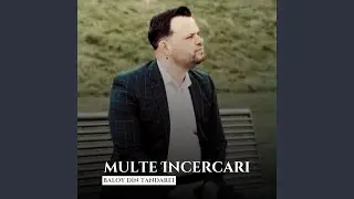 Multe incercari