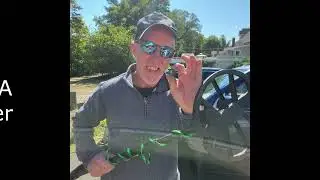 Finding Silver on Long Island silver