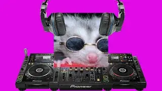 Pink Possum needs tech support #press1forTechTips