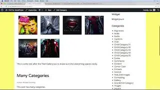 050 Working with Post Formats in WordPress