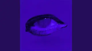 Soupflow Freestyle (feat. EAZ)