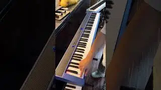 A special blue electronic piano #digitalpiano #factory #electronicpiano #keyboard #piano