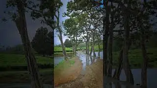 charlie movie shooted spot #bgm #nature #travel#kuttickanam