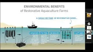 Restorative Aquaculture: Concepts & Practices in the U.S.