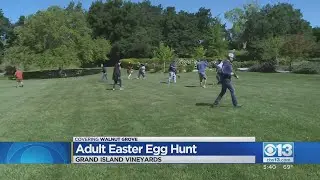 Adult Easter Egg Hunt Taking Place In Walnut Grove
