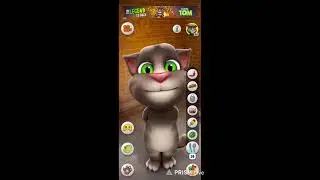 my talking Tom game