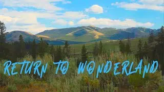 Into Yellowstone's Wild Side | Letting Go Ep. 6