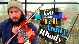 Fiddle/Violin Tune from Suzuki Book 1