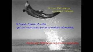Wensen 2017