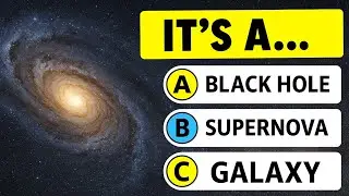 Test Your SPACE Knowledge!