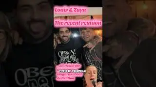 Louis & Zayn Reunion: how one direction fans wrote the book on yearning