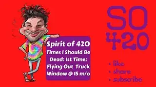 Times I should Be Dead: 1️⃣st Time: Flying Out Truck Window @ 1️⃣5️⃣ m/o | Spirit of 420 Presents 💨🌲