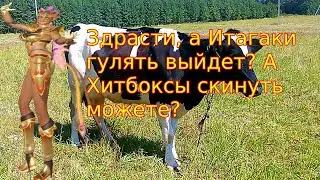А у красавиц ноги от ушей! DOA6