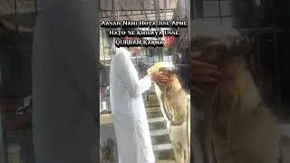 MOHABBAT 💖.....   #bakra #bakraeid #goat #bakramandi #mandi #eid #deonar #pakistan #goatsofinstagram