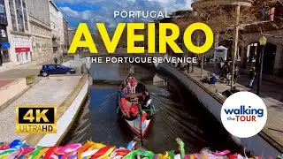 Aveiro Portugal Walking Tour
