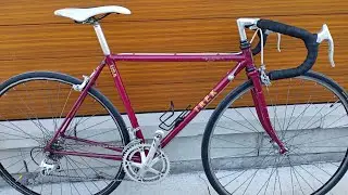 Vintage Trek 500 Series Road Bike Suntour Cyclone 501 Reynolds Bicycle