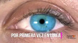 VI CONGRESO INTERNACIONAL DEL ESPAÑOL EN CASTILLA Y LEÓN