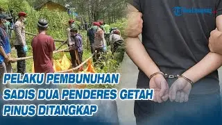 Pelaku Pembunuhan Sadis Dua Penderes Getah Pinus Ditangkap, Berawal dari Masalah Sepele