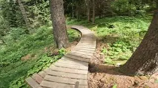 White Wolf  @  Val di sole bike park