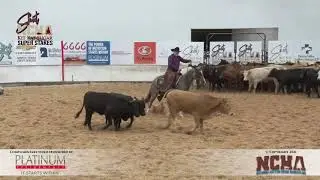 METALLIC MOCHA shown by GREG DELONG   2021 NCHA Super Stakes 6 7 Am, Go 1 2