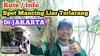 Rute/info spot mancing Liar terlarang Di Jakarta || mancing di pik terbaru