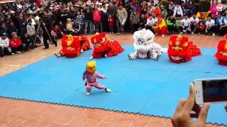 Mau lan cau ngu vokinhvanan