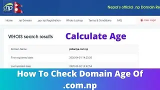 How To Check The Domain Age Of .Com.Np ?