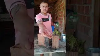 como plantar coentro no tijolo #plantas #dicas #coentro #no #tijolo #plants