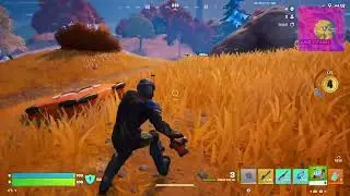 I like to move it, move it!  Chapter 7 - Crown Victory Royale 169