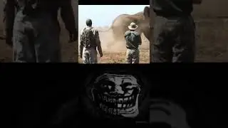 sigma  attitude/fearless man vs elephant/
