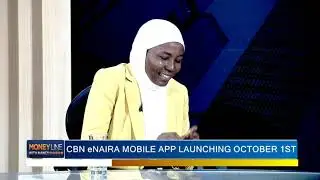 Understanding CBN&rsquo;s eNaira