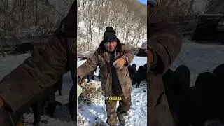 #Wild boar#New farmer plan#Creator Support Program#The wild boar from Brother Fuzi s famil