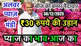 प्याज़ का सबसे ज़्यादा उत्पादन देने वाला बीज़ पप्पू भाई प्रधान, Alwar Pyaj Mandi #onion #pyaj #viral