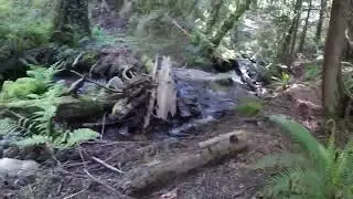 Bremerton buildable parcel close to town 6+acres with a running creek