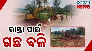 Bypass Road In Nabarangpur Sparks Controversy | 9,000 Trees To Be Cut | Public Demand Relocation