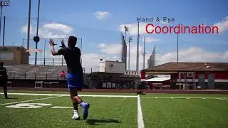 Next Level Sports