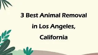 3 Best Animal Removal in Los Angeles, California | Wildlife Control
